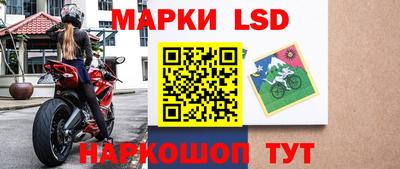 индика Дубна