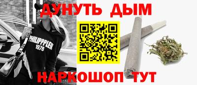 индика Дубна