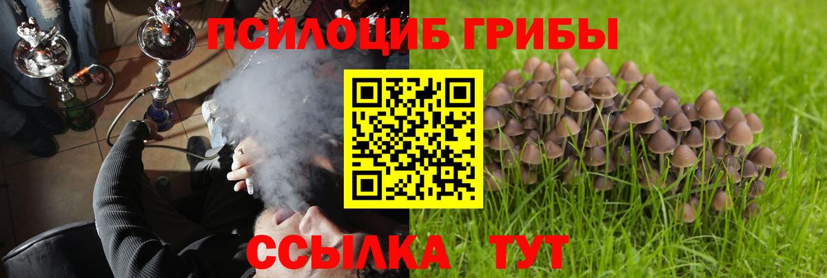 Ликино-Дулёво  Псилоцибиновые грибы Cubensis  Галлюциногенные грибы Cubensis  Вход с VPN 