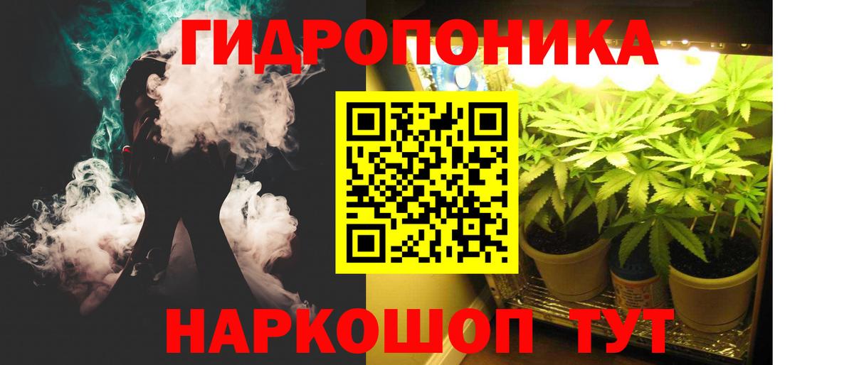 Конопля планчик Ликино-Дулёво